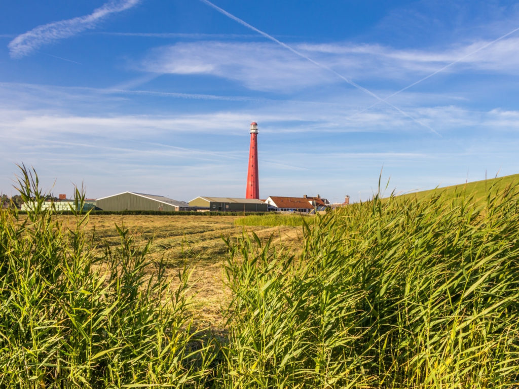 B&B De Zwarte Ruiter - omgeving